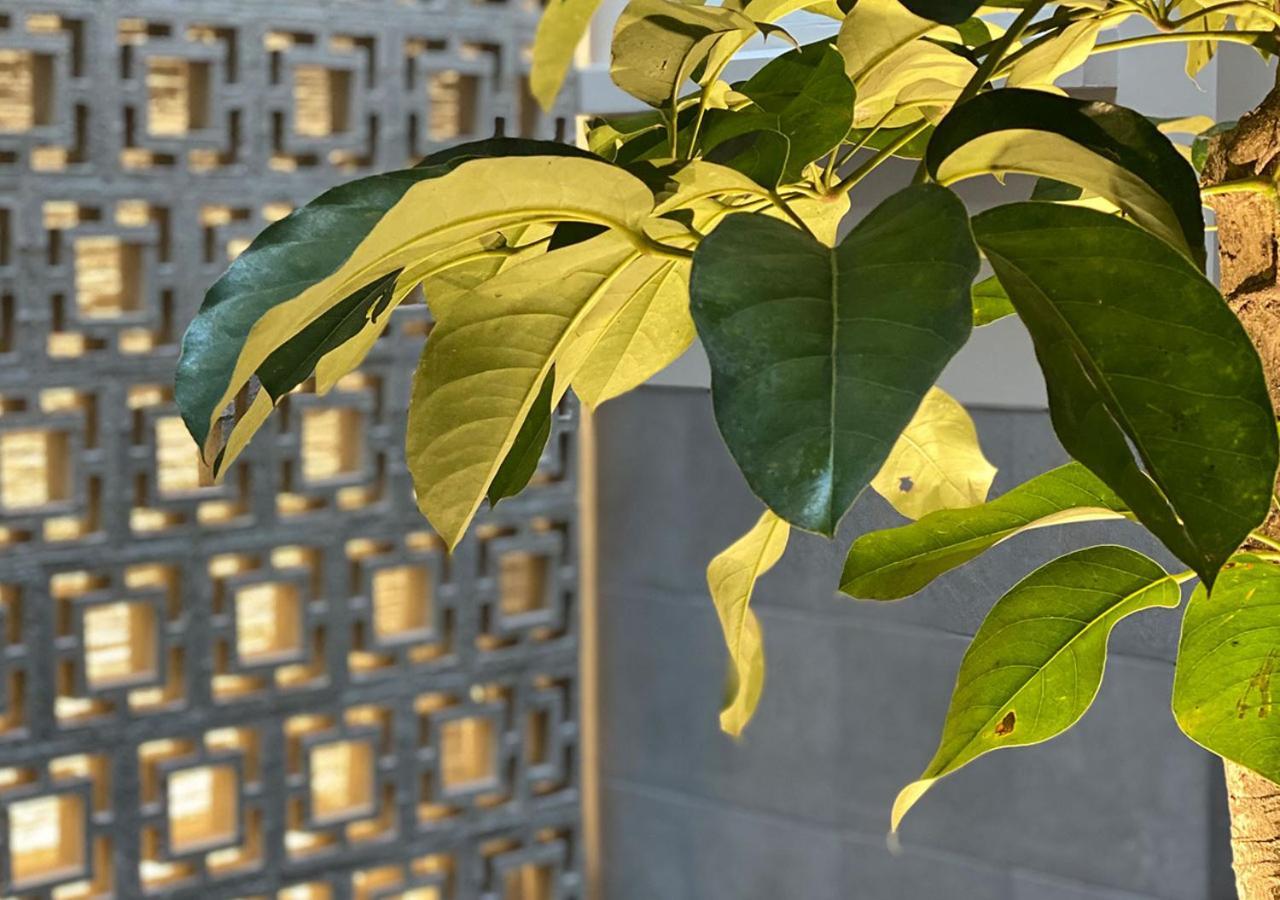 Hotel Mx Zocalo 멕시코 시 외부 사진